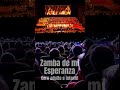 resumen concierto 2024