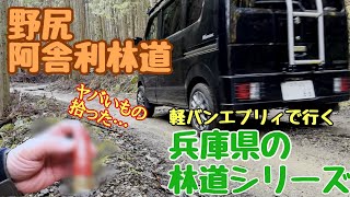 【林道走行 兵庫県】気持ちの良いフラットダートが続く野尻阿舎利林道を走ってみた　走行中にまさかのヤバいものを見つけてしまった…