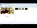 Basic Video Editing Tutorial using Windows Movie Maker