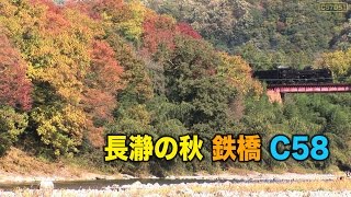 【秩父 SLパレオエクスプレス】秋の長瀞,鉄橋,C58　Steam locomotive 2-6-2 in Nagatoro of colored leaves