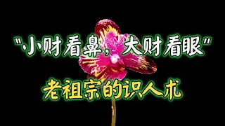 “小财看鼻，大财看眼”，老祖宗的识人术，有道理吗？