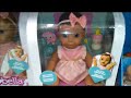 luvabella dolls are at walmart