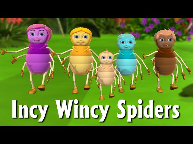 Incy Wincy Spider Nursery Rhyme Itsy Bitsy Spider 3d Animation