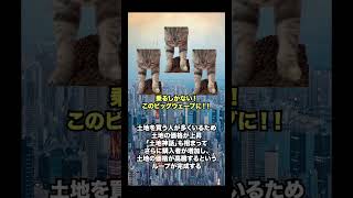 【バブル崩壊】なぜバブル経済が起きた後、日本経済は崩壊したのか？ #猫マニ #猫ミーム #shorts