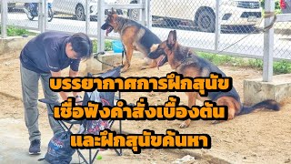 บรรยากาศการฝึกสุนัขเชื่อฟังคำสั่งขั้นพื้นฐานและฝึกสุนัขค้นหา