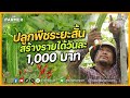 ปลูกพืชระยะสั้นทำรายได้สูงถึงวันละ 1,000 บาท | เกษตรสัญจร