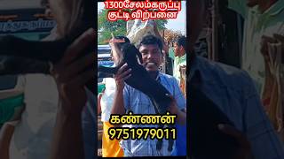 1300 சேலம் கருப்பு பால்கட்டி விற்பனை குன்னத்தூர்சந்தையில் #shortsfeed  #song