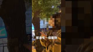 搭訕超可愛正妹，結果如何呢？