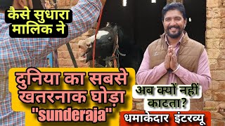 दुनिया का सबसे खतरनाक घोड़ा Sunderaja, कैसे सुधारा मालिक ने,अब क्यों नहीं काटता? धमाकेदार इंटरव्यू।
