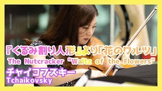 チャイコフスキー：『くるみ割り人形』より「花のワルツ」(弦楽四重奏)／Tchaikovsky：The Nutcracker \