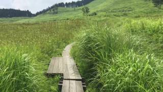 兵庫県神河町の砥峰高原