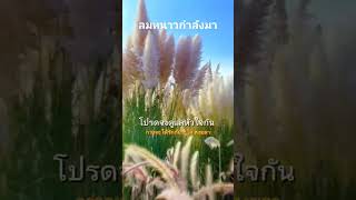 เพลงใหม่กว่าจะได้รักกัน #สตอรี่ความรู้สึก  #เพลงใหม่ #มาแรง