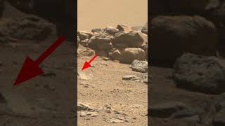 Mars curiosity Rover #nasa #p#viral #youtubeshorts #shortsfeed #mars4kstunningvideo #mars
