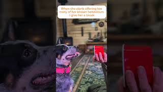 How to muzzle train - Step 1