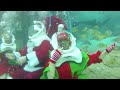 santa claus and entourage of elves experience seaventure discovery cove