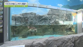 ウミガメが過ごしやすい環境へ【テレビトクシマ】