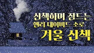 기절하듯 잠드는 오디오북  '겨울 산책' (헨리 데이비드 소로)