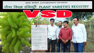 VSD नवीन द्राक्ष व्हरायटी भाग - 1                VSD New Grape Varieties Part - 1