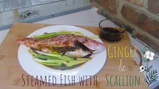 Steam Fish with Ginger and Scallions| First Savory Dish| Sub Video| No Voiceover