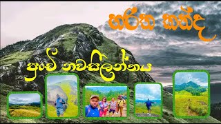 Haritha Kanda | හරිත කන්ද | පුංචි නවසීලන්තය