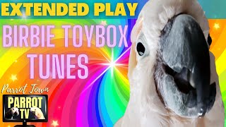Birbie Toybox Tunes | Playful Happy Bird Music | 7HRS EXTENDED PLAY | Parrot TV for Your Bird Room🤹
