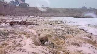 Gaggar river in ratia  move by baldev bareta