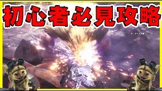 【MHWI】ラージャンを簡単に討伐できる方法を教えます【モンハンワールド/アイスボーン/攻略】