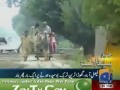 buchiana horse train on geo news