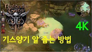 [ 발더스 게이트 3 ] 기스양키 알 줍는 방법 (공식 한글화 버전)