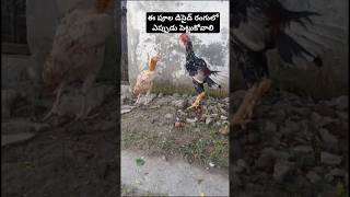 పూల డిసైడ్ రంగు//Colour Identification//Part 91