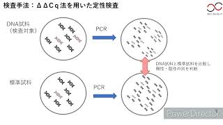 新公定法（遺伝子組換え大豆検出検査）の説明