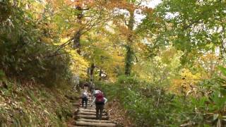 尾瀬ハイキング２００９年１０月４日竜宮―尾瀬ヶ原―鳩待峠