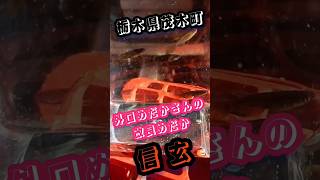 栃木県のメダカ屋さんから購入してきた三種の改良メダカ✨外口めだか【信玄】·福梅めだか【五式TypeR】·萩原めだか【紅帝】#メダカ #めだか