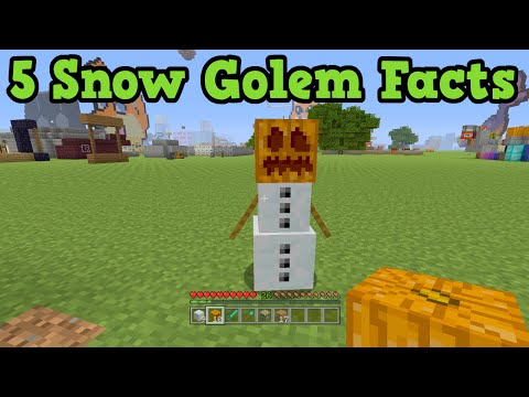 Minecraft - 5 Things You Didn't Know About Snow Golems Minecraft - 5 Things You Didn't Know About Snow Golems
