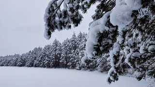 Winter Day Hike in Nuuksio