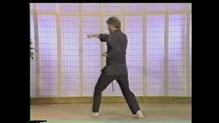 American Kenpo Green Belt Long 2