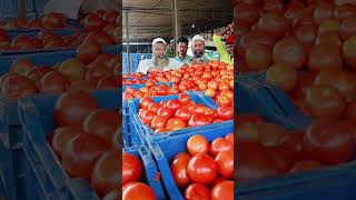 Punganur tomato Market 🍅🍅 14/1/2025 #trending #punganurtomatomarket #tomatomarket #tomato