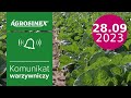 Zapobieganie skutkom monokultury w uprawie warzyw - komunikat warzywniczy | Agrosimex