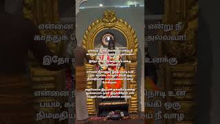 முருகன் வாக்கு 🙏 ஓம் முருகா சரணம் 🙏 #lordmurugan #muruganvakku