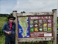 日本最北の離島、礼文島の旅＆グルメ