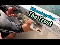 Epic Hour of TROUT FISHING!!! in Crystal River, Fl.