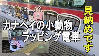 まもなく見納め！西武鉄道のカナヘイの小動物ラッピング電車・ニューレッドアロー