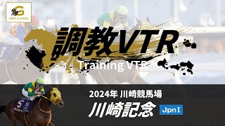 調教VTR｜2024年 川崎記念 JpnI｜NAR公式