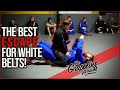 The BEST Escape For White Belts!