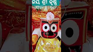 ଶ୍ରୀ ଶ୍ରୀ କୃଷ୍ଣ ମହାପ୍ରଭୁ ଙ୍କ ଓଡ଼ିଆ ଭଜନ #song