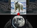 planet animal combination pt18 animalfusion planet fusion hybrid