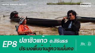 ep8: ginsabaijai lifestyle กับแม่สมปอง สายเนตร (แม่ปอง) #ปลาซิวแก้ว #เขื่อนสิรินธร #ประมงพื้นบ้าน