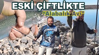 ESKİ ÇİFTLİKTE TAKILMAYAN OLTA İLE \