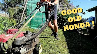 Mowing an OVERGROWN Lawn with an OLD HONDA Lawn Mower.