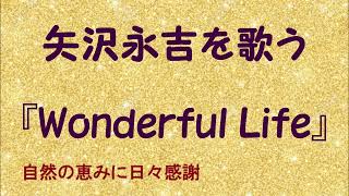 『Wonderful Life』／矢沢永吉を歌う_743　by 自然の恵みに日々感謝